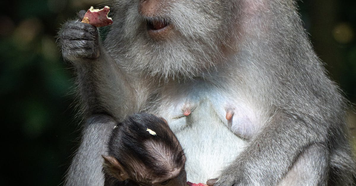 Memilih Vila yang Sesuai dengan Gaya Hidup Anda