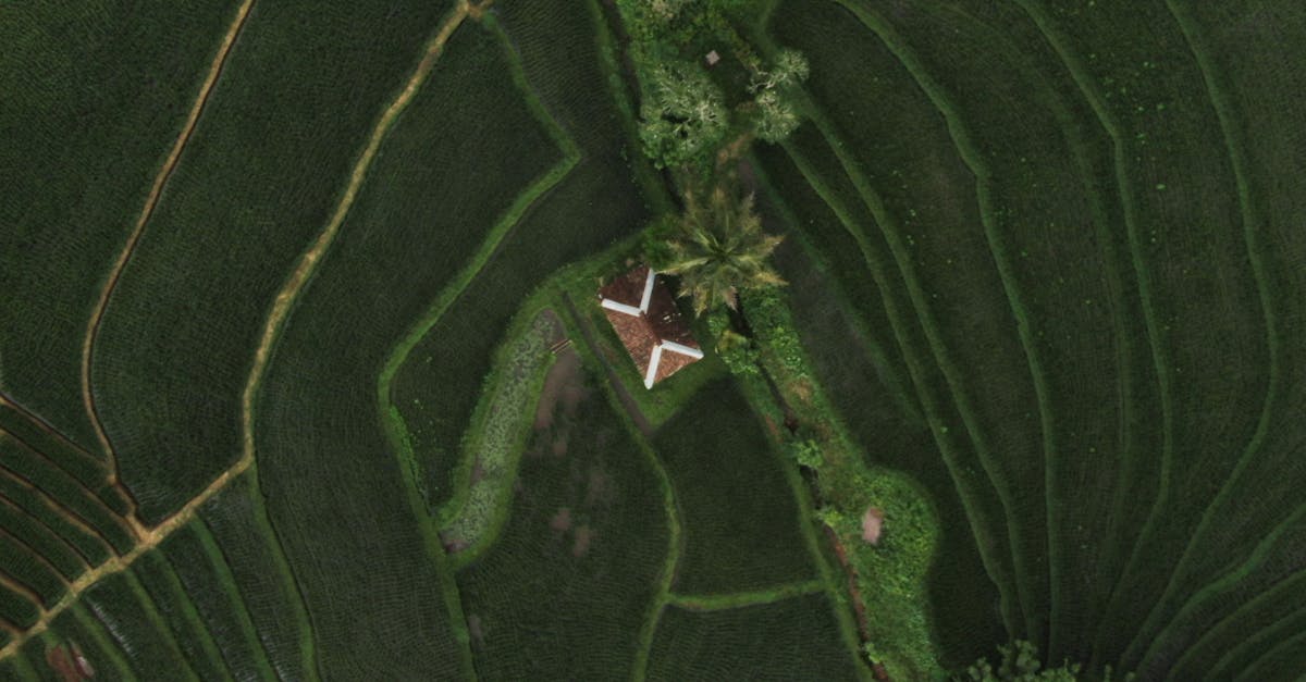 Mengapa Jimbaran Adalah Destinasi Ideal untuk Penyewaan Vila