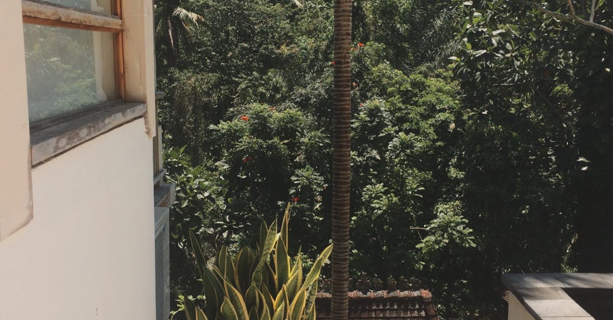 Perbandingan Harga Sewa Vila di Berbagai Daerah Bali