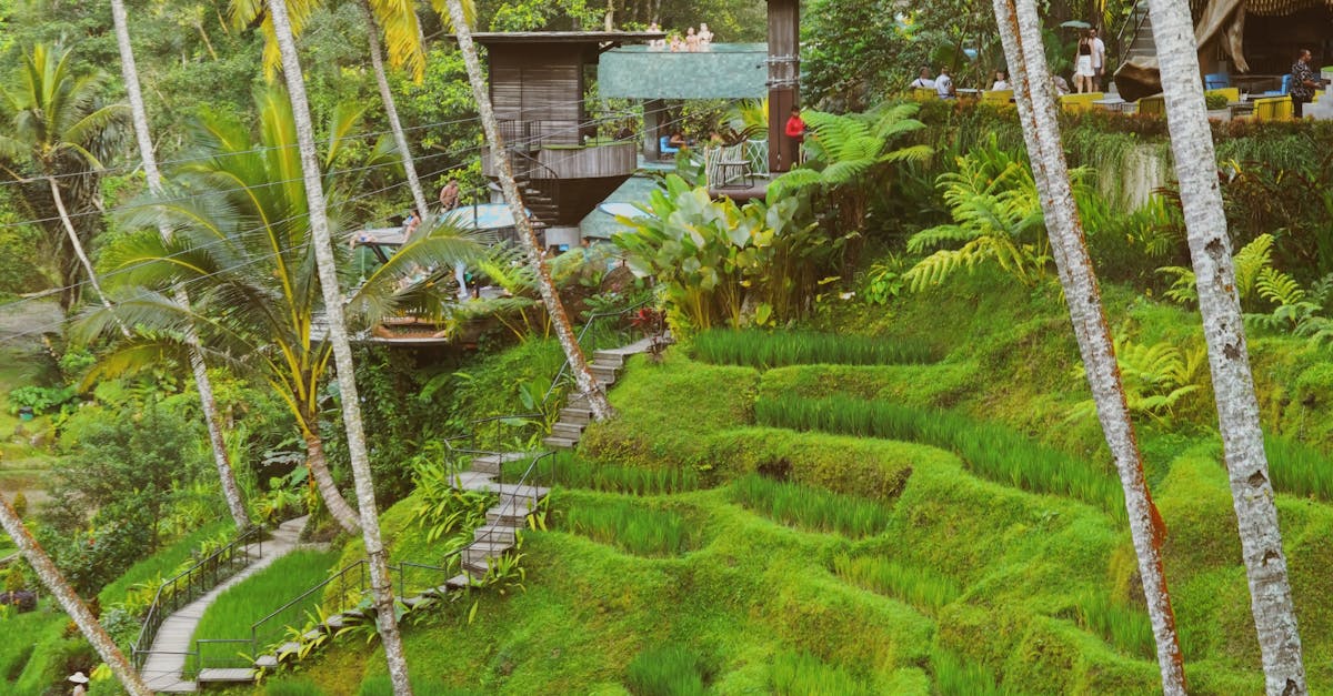 Strategi Negosiasi untuk Mendapatkan Diskon Vila